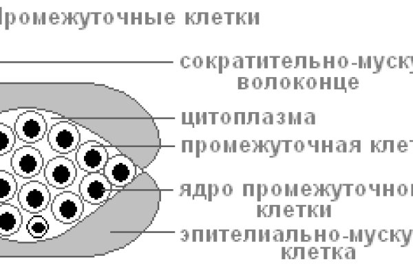 Как попасть на сайт кракен
