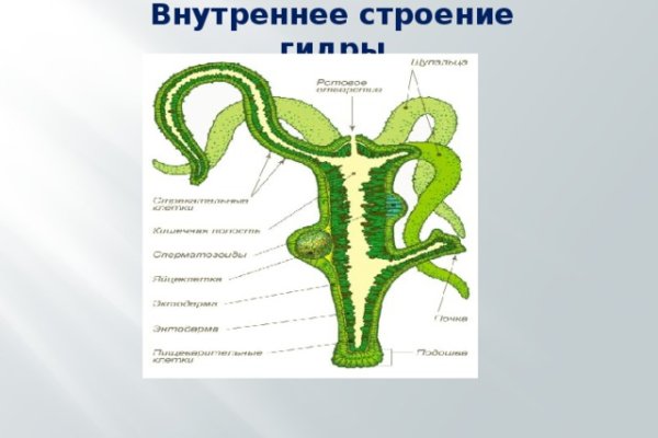 Почему не закрыт сайт кракен